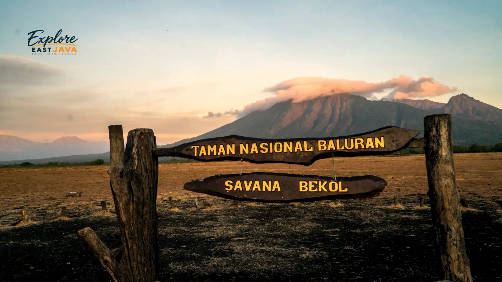 Baluran National Park savanna wild animals East Java