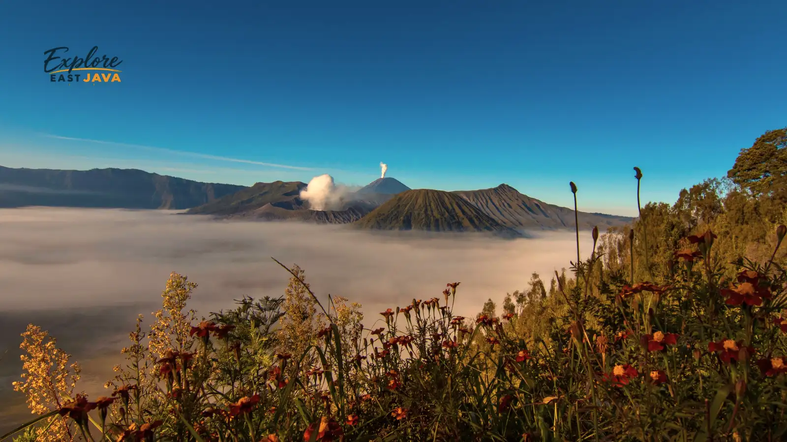 Private 4WD Jeep at Mount Bromo Sea of Sand