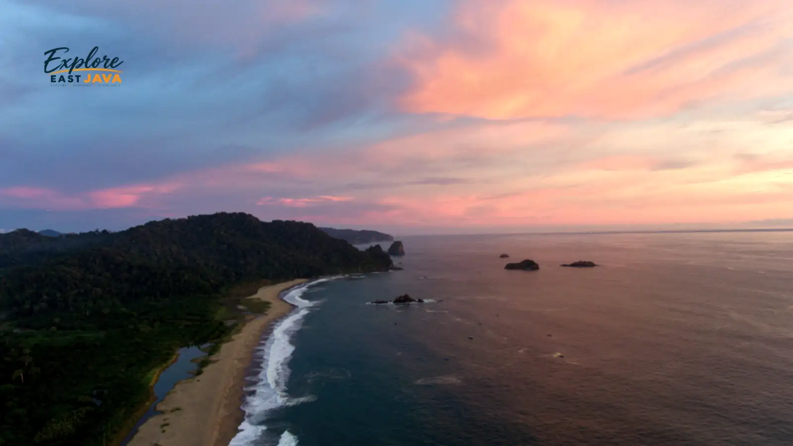 Sukamade turtle beach conservation East Java